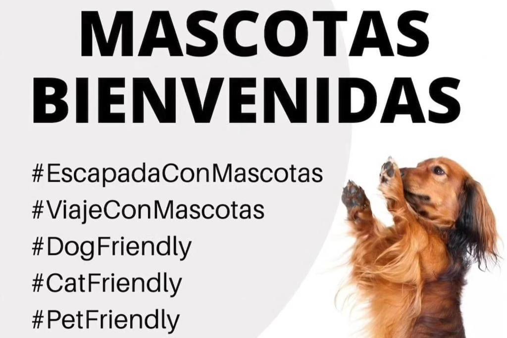 La Caseta De Rotova - Casa Rural Para Desconectar Luaran gambar