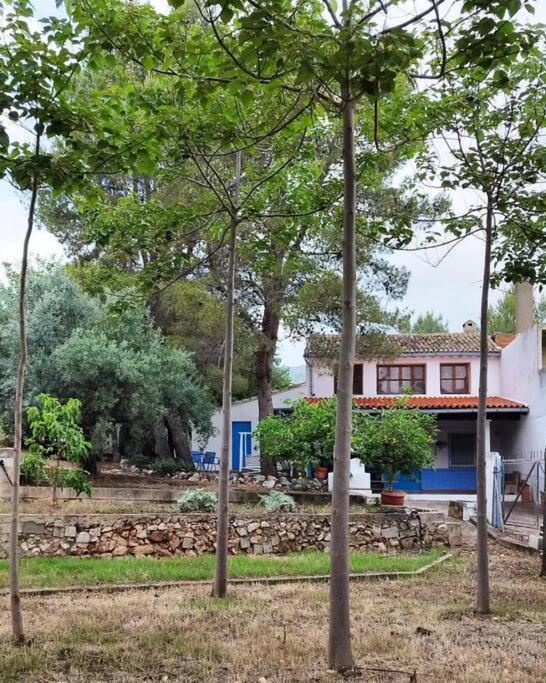 La Caseta De Rotova - Casa Rural Para Desconectar Luaran gambar
