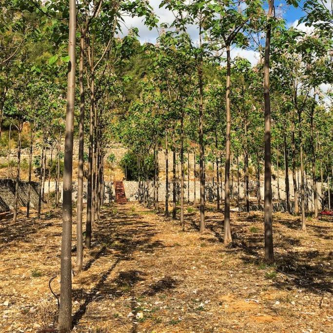 La Caseta De Rotova - Casa Rural Para Desconectar Luaran gambar