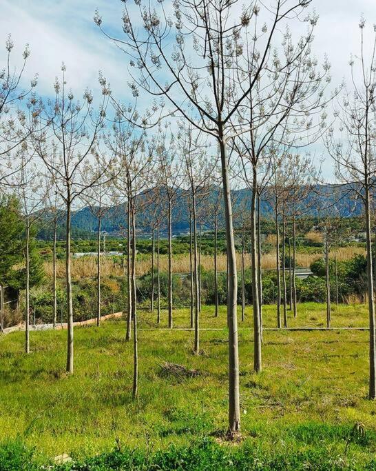 La Caseta De Rotova - Casa Rural Para Desconectar Luaran gambar